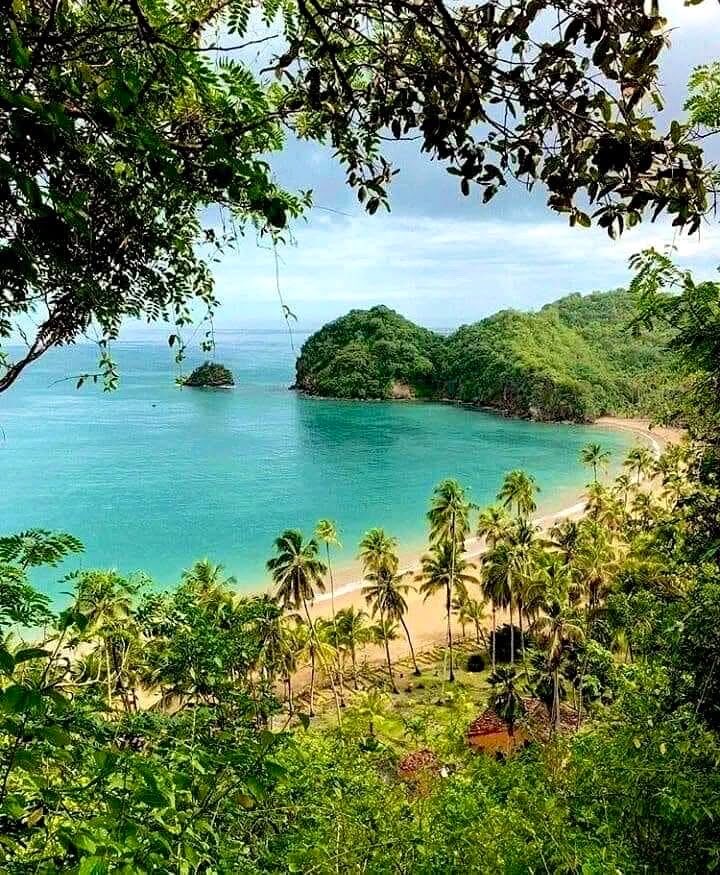 GianlucaCoccon1's tweet photo. Maravillosa 
PLAYA MEDINA cerca de Río Caribe Península de Paria 
Edo Sucre VENEZUELA 
🇻🇪🇻🇪🇻🇪🇻🇪🇻🇪🇻🇪🇻🇪🇻🇪🇻🇪🇻🇪🇻🇪
@venezuelaenfoto https://t.co/UYw7jxpdjZ