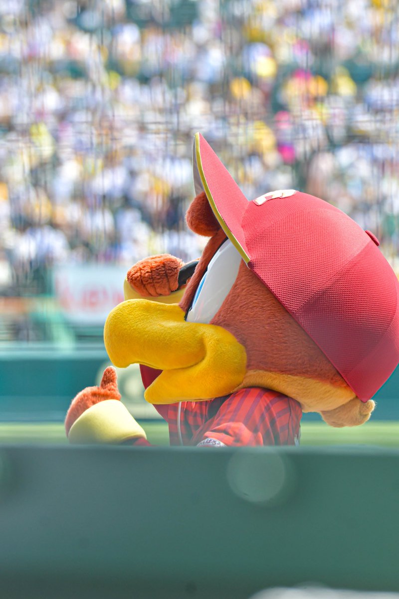 P_yuke_'s tweet photo. クラッチくんカーソンに「こんにちは」して、「大きいね」ってして一緒に写真撮ってて可愛かった🦅🍙💓

#カーソンマッカスカー #クラッチくん
#RakutenEagles https://t.co/aKyj4Ddf5T