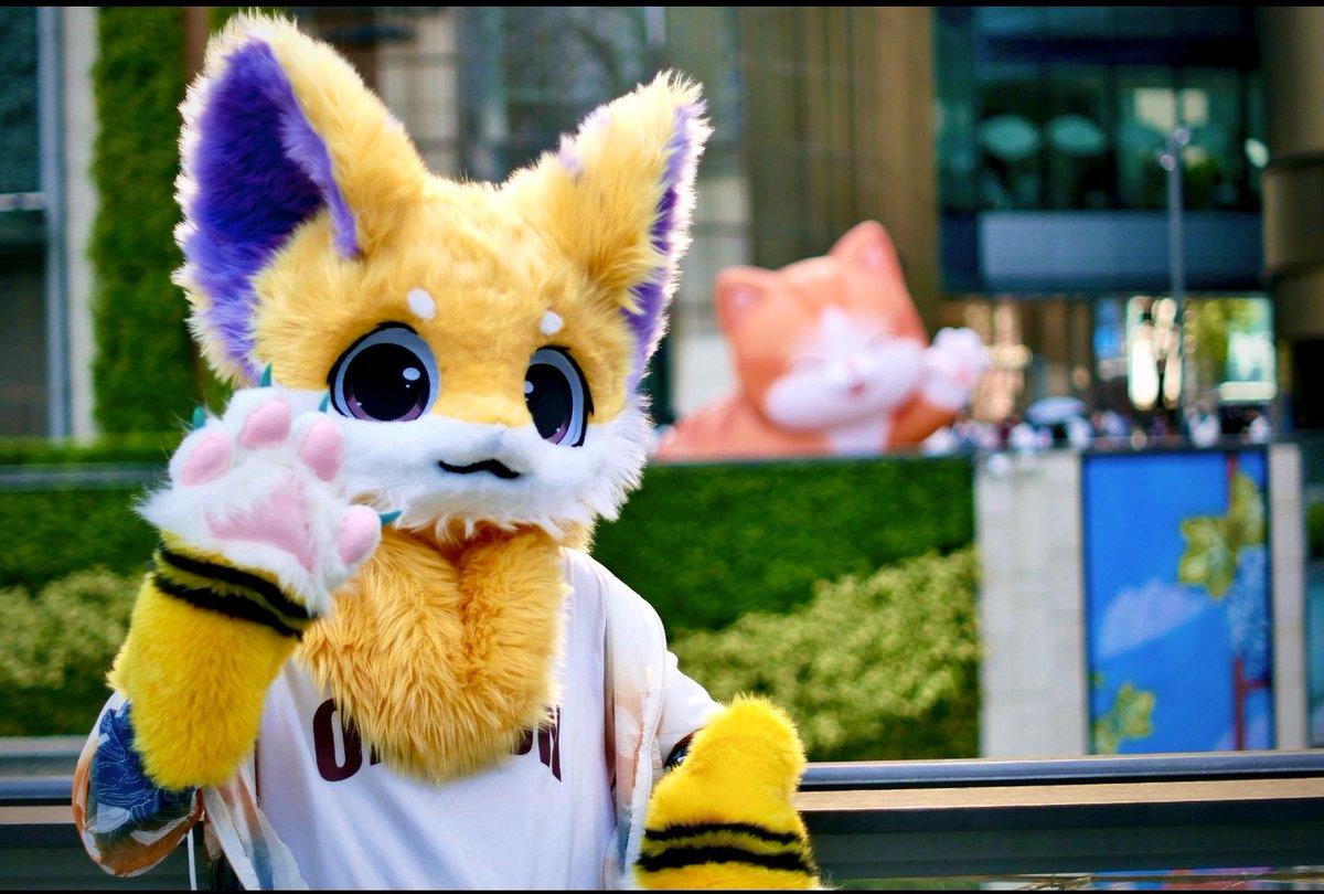 cloudmeiw's tweet photo. 明天高考！猫猫在这里祝福各位答的都对懵的全✓！ https://t.co/BecUGFScam