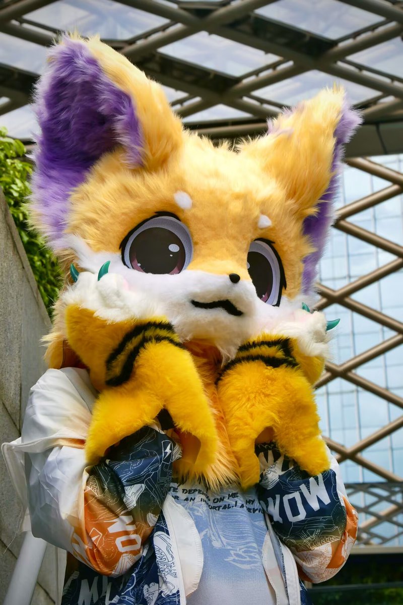 cloudmeiw's tweet photo. 明天高考！猫猫在这里祝福各位答的都对懵的全✓！ https://t.co/BecUGFScam