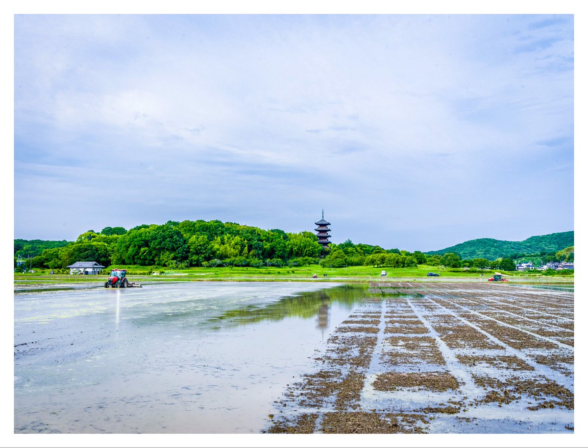 924Kayama's tweet photo. 我が地域も梅雨入りした☔️
備中国分寺五重の塔西の田んぼ
田植えの準備が進んでいる😊
(終わっている所も有り)
トラクター🚜が代掻きした後に
鷺が飛んで来て何か獲物を狙っている😄
水が入ったのでしばらく逆さ五重の塔が撮れるチャンス有りですな😁
塔南もこれから楽しみだ😊
#備中国分寺 #田園 https://t.co/8mggazm6O2