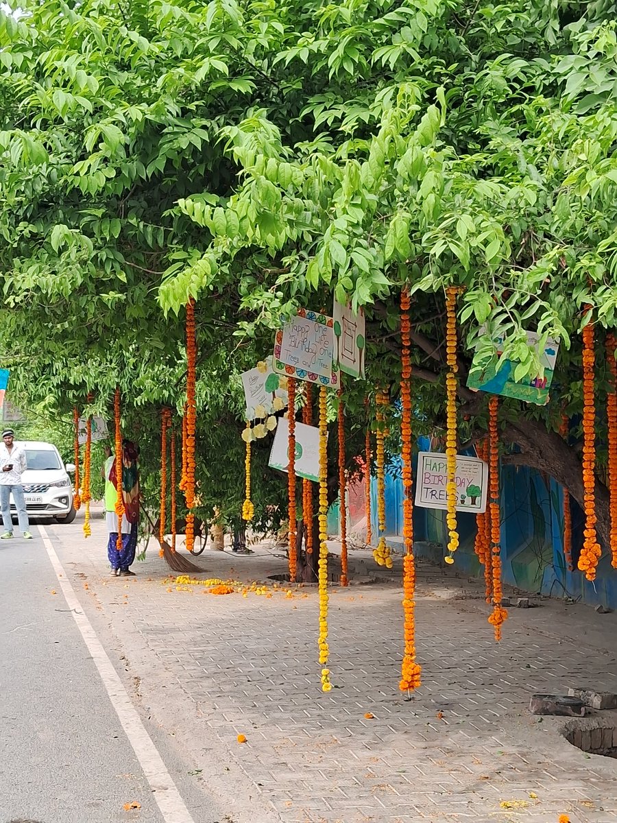 FVrindavan's tweet photo. On #WorldEnvironmentDay, it was heartening to see Tamal trees planted years ago by Friends of Vrindavan celebrated at a Vrikshotsav organized by Prayas Sanstha under Shri Abhay Vashishtha Ji. A proud reminder that every tree planted today can inspire generations tomorrow. https://t.co/sNwacFqKuP