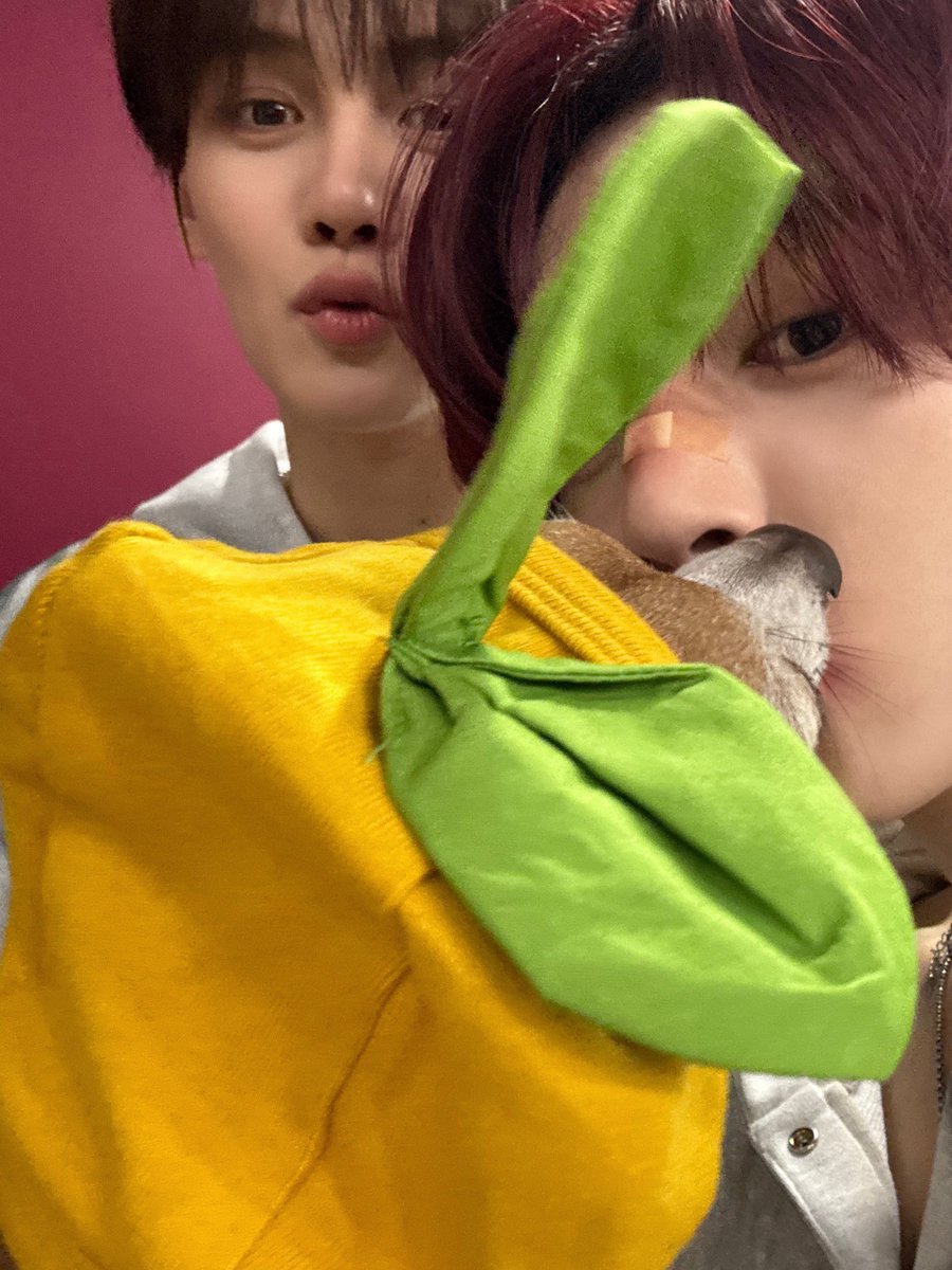 rbqlsluv's tweet photo. 좋넼ㅋㅋㅋㅋㅋㅋㅋ⫬💕💕💕💕💕 https://t.co/niHsiAJoqn
