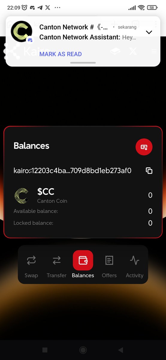 BozPank's tweet photo. @0xMagnetCcd @kairo_ag @CantonNetwork there is no balance in my wallet https://t.co/J43RzMaNeT