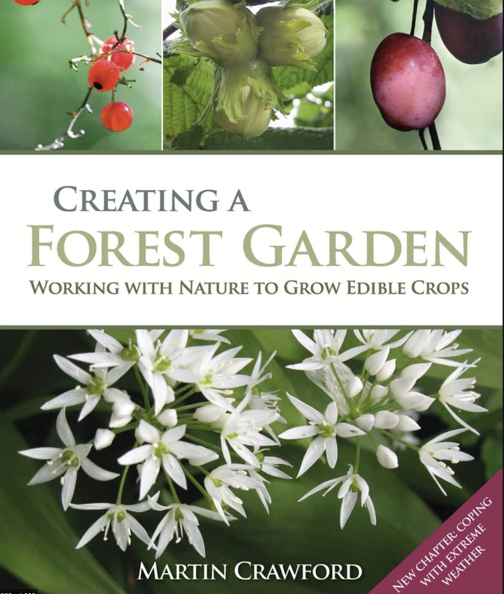 Innerdevcrypto's tweet photo. If you are interested in growing food and:  
- do not want to weed 
- do not want to spend more than couple of hours a week ´working´ in garden 
- want low maintenance & high yields/harvests 
- want chemical/pesticide free food 
- want to mainly relax and enjoy 
- have no idea how to begin

How to build such a system: 👇
https://t.co/gU8Crd5nZv

Great books: 👇