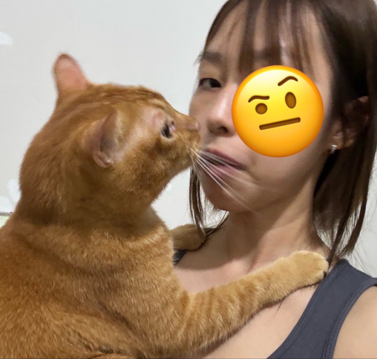 momomeowclub's tweet photo. Mencintai cc seutuhnya 😽💋 - oi https://t.co/DanffPMRZX