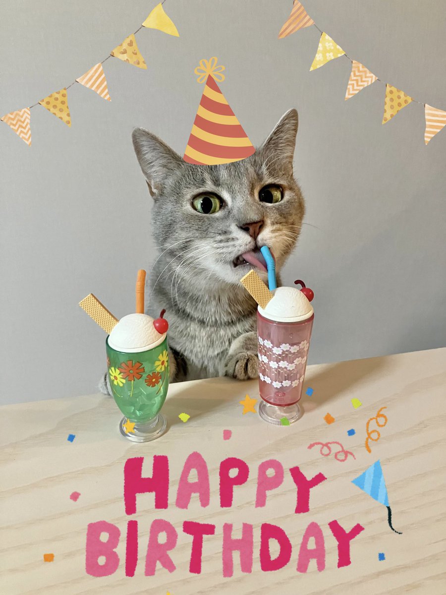 ponzu__55's tweet photo. 今日はしーちゃん🐟3歳のお誕生日🎂

うちに来た頃は居候です…みたいな顔してたけどやっと家猫になれたね🥲
体重も2.6キロまで増えました✌️
これからも元気でいてね！ https://t.co/JZNgc5SpSS