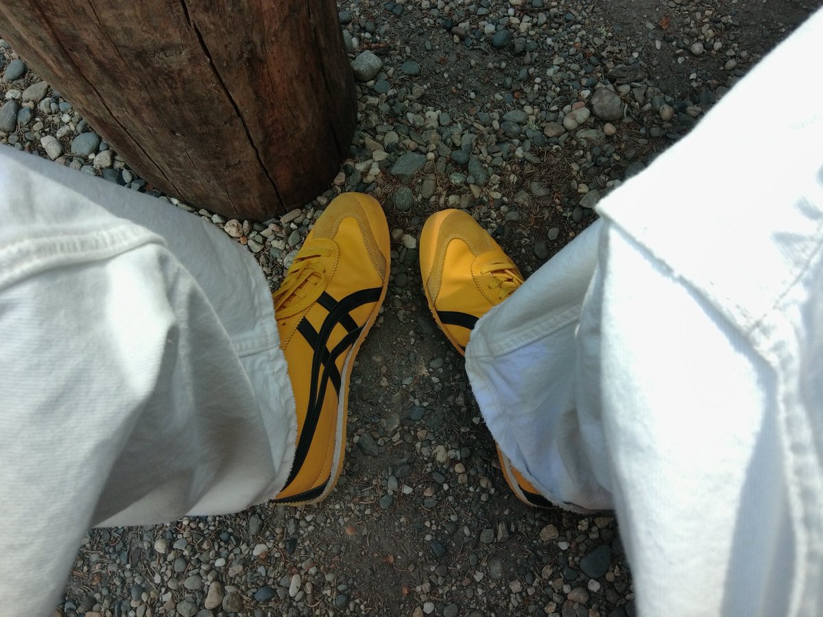 averyowengk's tweet photo. Catch me outside (Alaska edition) https://t.co/jUKRVxR1Ch