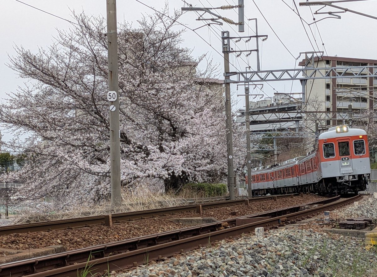maikyYMoto's tweet photo. 2026桜旅🌸その1
今更ですが、今年も桜を見に行ってました✌️
まずは神鉄をいつもの場所で❗
運良く異なる車種を撮影出来ました👍

#桜
#神鉄 https://t.co/zYhLvXuLBe