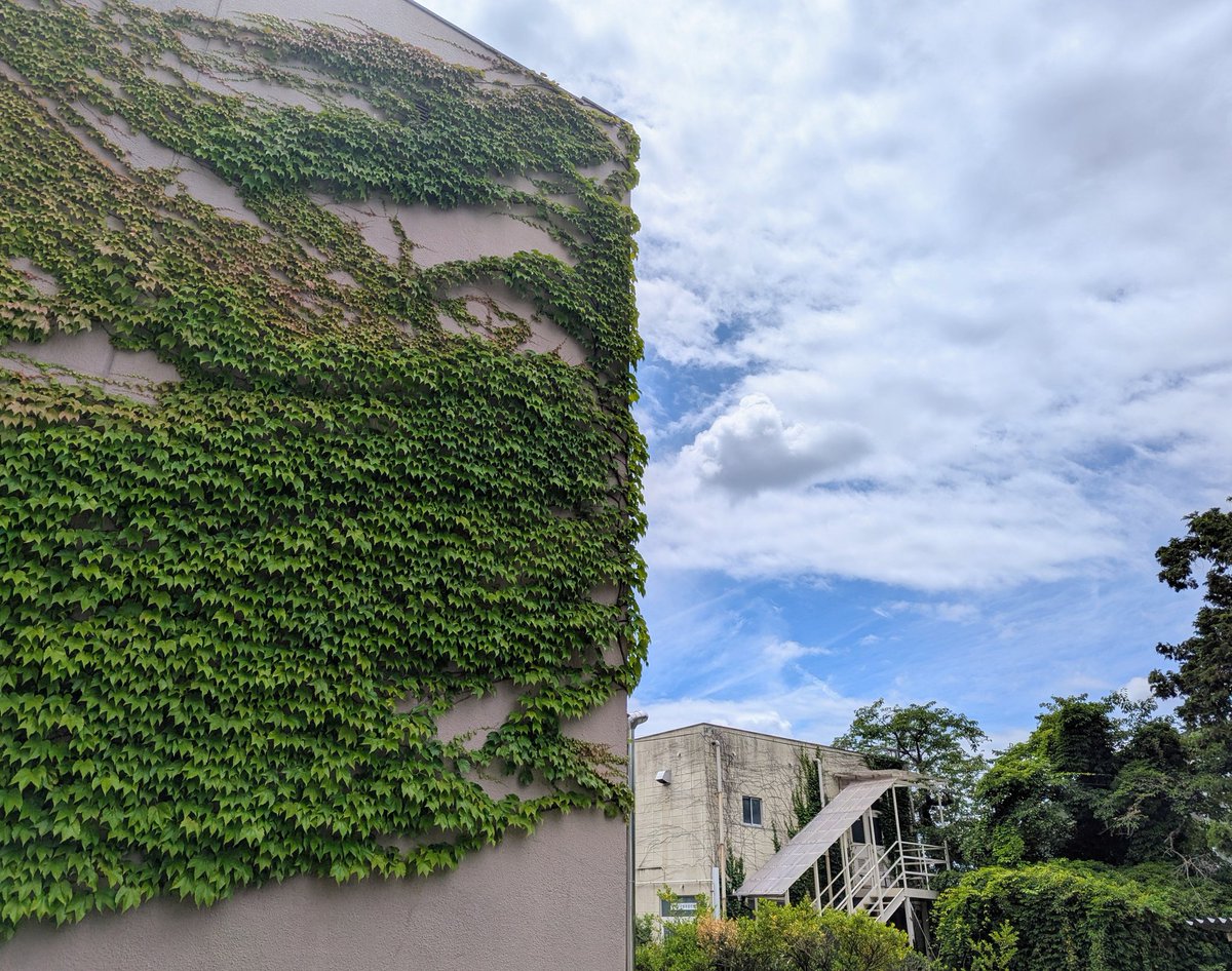 ISAKART's tweet photo. 6/5(金)は、企業との共同研究の成果物(建築物)の現場確認。
6/6(土)は、科学技術振興機構の次世代人材育成事業「ジュニアドクター育成塾」のお仕事。
将来は科学者になりたいという小中学生が大勢いることに驚きました。自ら問いを立ててそれを解決する子ども達でした。 https://t.co/jYzGPnhTzL