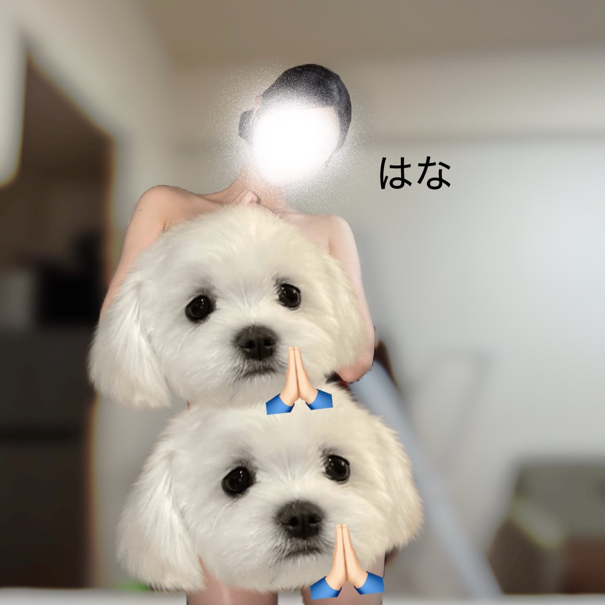 zeushana_'s tweet photo. 日記上げたからみにいくのといいね5回必須ネ🐈⸒⸒⸒⸒

https://t.co/dnWiJMnZN0 https://t.co/ifhziM20t5