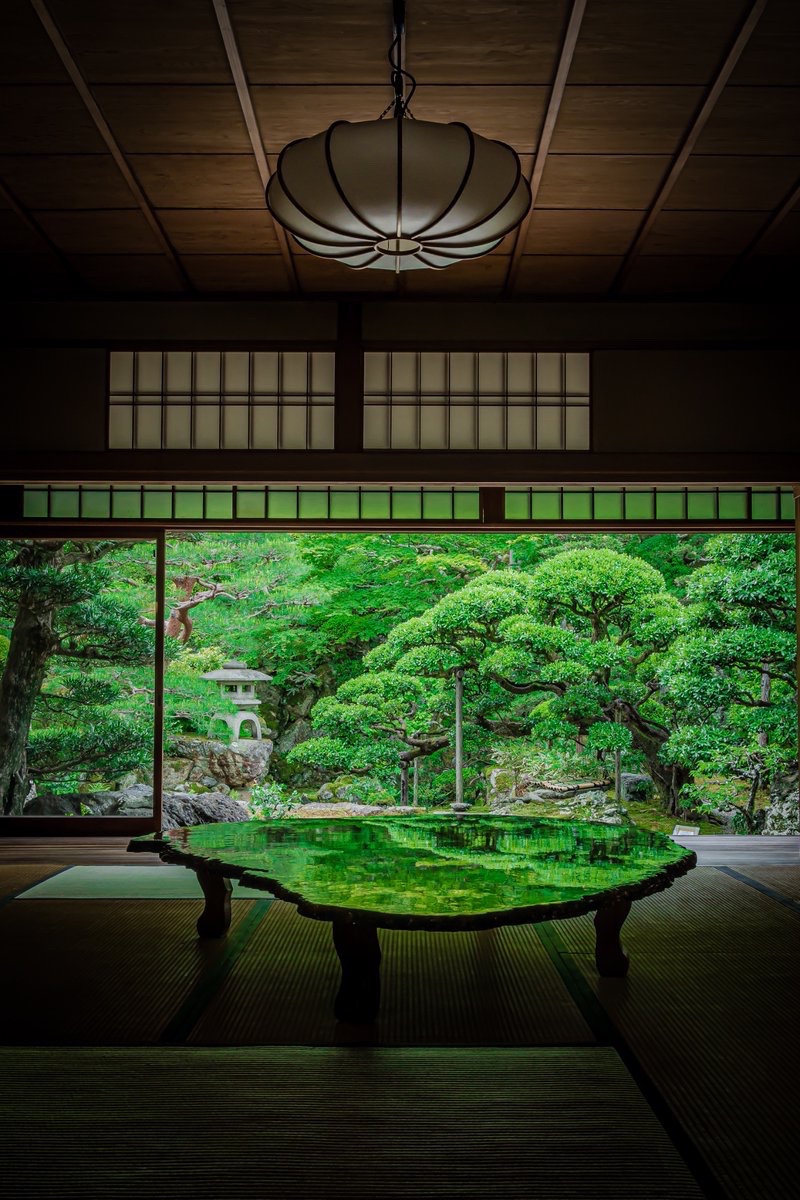 yuya0240's tweet photo. 京都にある庭園
緑が綺麗でずっと眺めていられる https://t.co/vjdezoWJu5