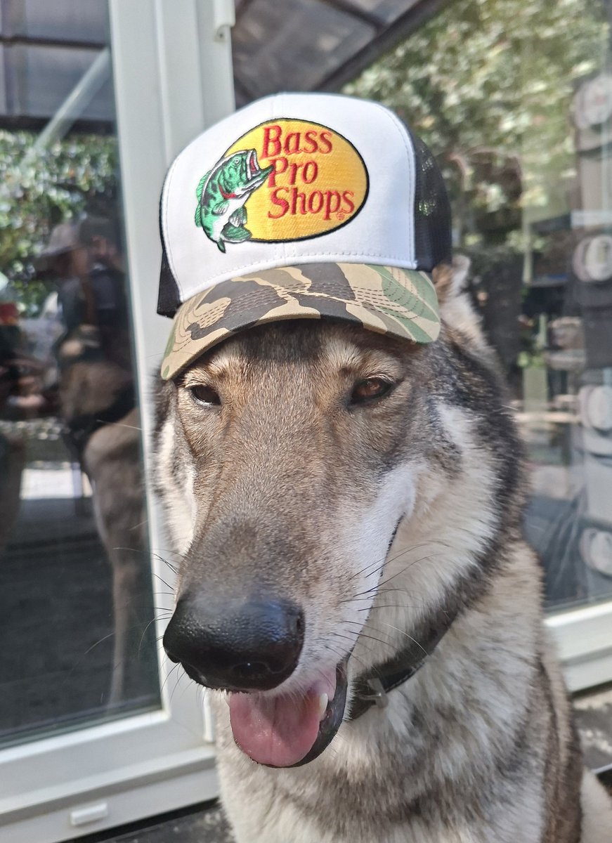 neutral_af's tweet photo. Pup Pro Shops https://t.co/YgY7AdLMIr