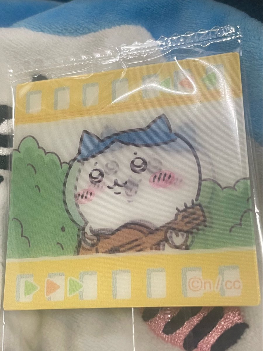 まえからハチ（ワレ）番目を選んだら ハチワレちゃんだったよー♡