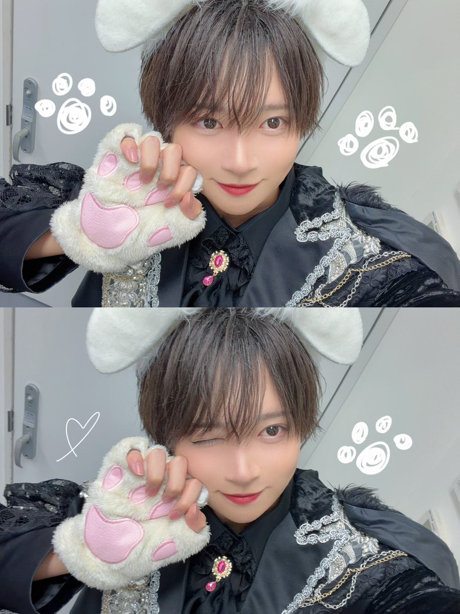 nemuta14o_'s tweet photo. たいようわんわんとたいようにゃんにゃん https://t.co/Jsw4uoVkMD