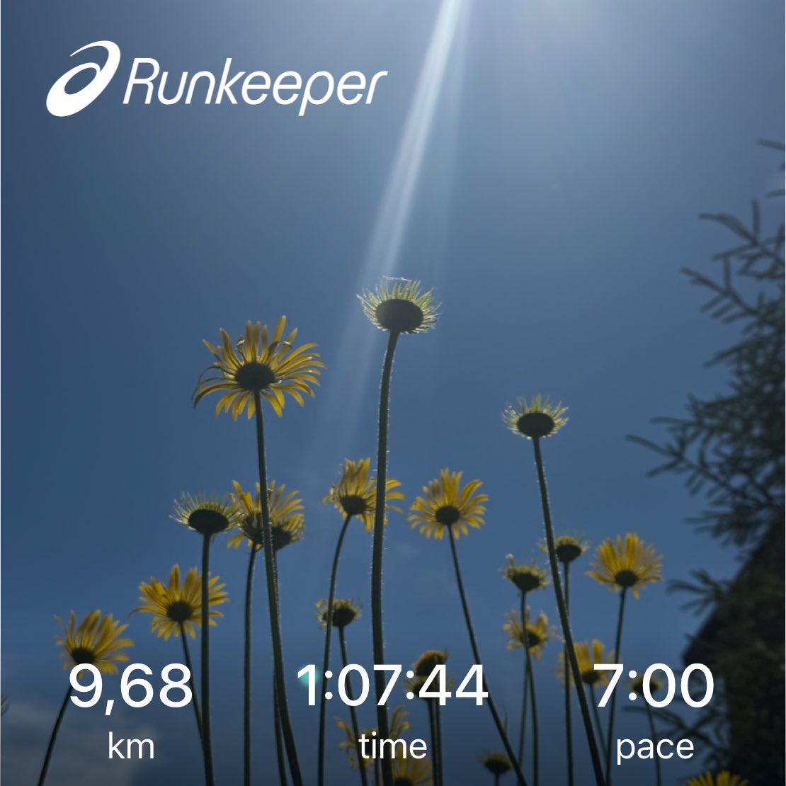 AnglyRun's tweet photo. Sunny day. Easy run in nature.
What could be better?🌿
#Running #EasyRun #RecoveryRun #TrailRunning #RunningLife https://t.co/IpoQheBMGO