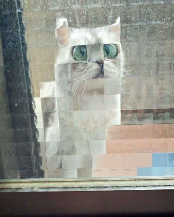 isonno's tweet photo. @jnack @fofrAI Lego cat IRL https://t.co/Qa0S3LrQAm