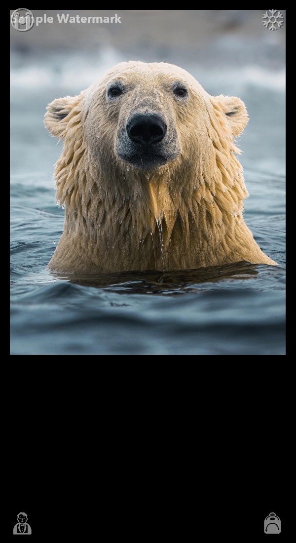 Takkunnet's tweet photo. Devote yourself wholeheartedly to caring for others. Honor life in every authentic manifestation. I feign attentive engagement in weighty discussions while my thoughts drift towards meals, slumber, and whimsical musings. I give suitable nods and courteous replies, yet retain no https://t.co/q49nHd40Z5