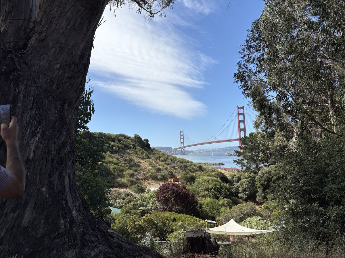 JYFHuang's tweet photo. Beautiful day!! https://t.co/0tbzdxMWwo
