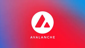 duckling43's tweet photo. exploring Avax thanks to
@AvaxAfrica,@BCentreNBO 
@foeg_Labs
. After the week 1 live sessions with
@lavenderesther1
,
@Sylus
and
@KenyaTechEvents
, i've learned about the use cases and benefits of Avalanche. Can't wait to experiment and #BuildOnAvalanche.  #Team1Kenya #MiniHack https://t.co/VXreMT8dZ5