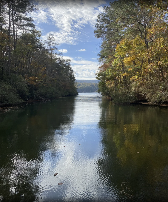 LisaSteeleRE's tweet photo. There’s more to explore at Lake Arrowhead than just the lake itself.

Head out to one of these trails to celebrate National Trails Day: https://t.co/dUPGhAfgpn 

📷 Keegan Bryson via Alltrails

#lakearrowhead #lakearrowheadga #nationaltrailsday https://t.co/jn5b4TLq2X