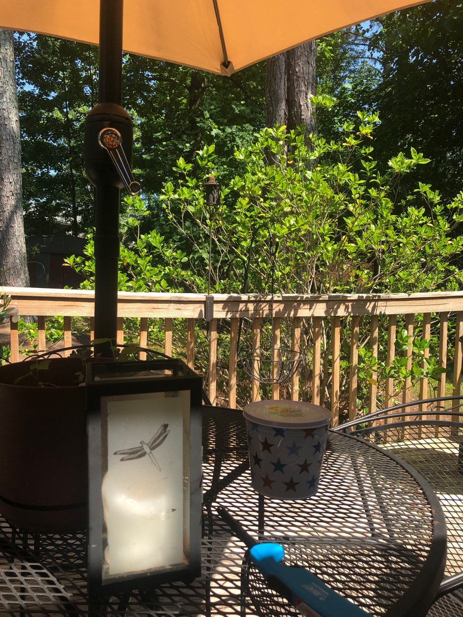 dwprather's tweet photo. #MetroATLRealEstatehappenings

ATL … “easy 
like Sunday morning”…

that peaceful Saturday morning 😎
HAPPY SATURDAY ❗️ https://t.co/ULelzTI0km