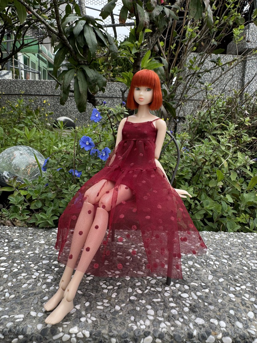 vivianchu8's tweet photo. outfit by @mystagelilian 

Sekiguchi momokodoll KID BLUE strawberry ver.

#モモコドール #momokodoll
#桃人宴momoko #petworksdoll https://t.co/tztWVvfItM