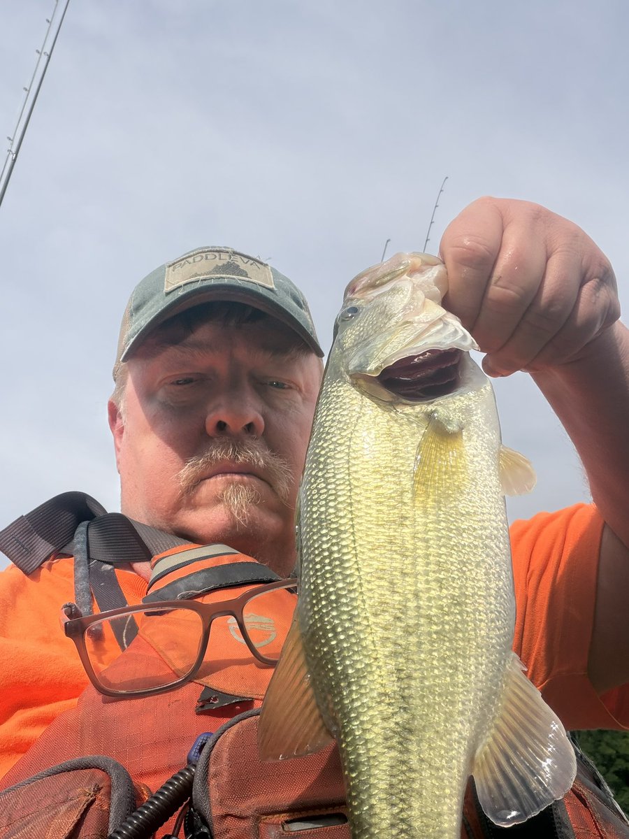 FishKayaker's tweet photo. I think I found the perfect bait to throw with the BFS setup that has been gathering dust in my rod rack. Caught mostly everything and the catfish was fun on 4lb line! 3/16 ounce mini spinner bait fished over river flats. https://t.co/thQ8mRbptA