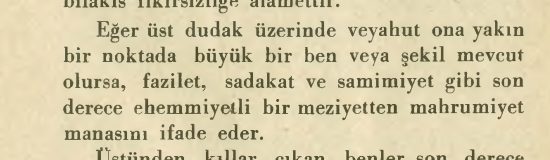 yavuzk tweet media