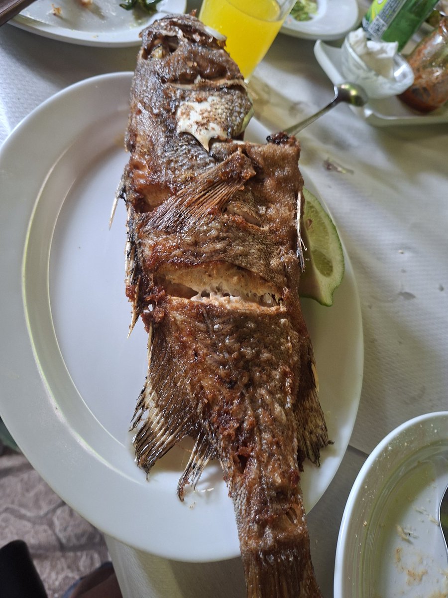 RuthDoster's tweet photo. Fish https://t.co/QBPcBn8A1A