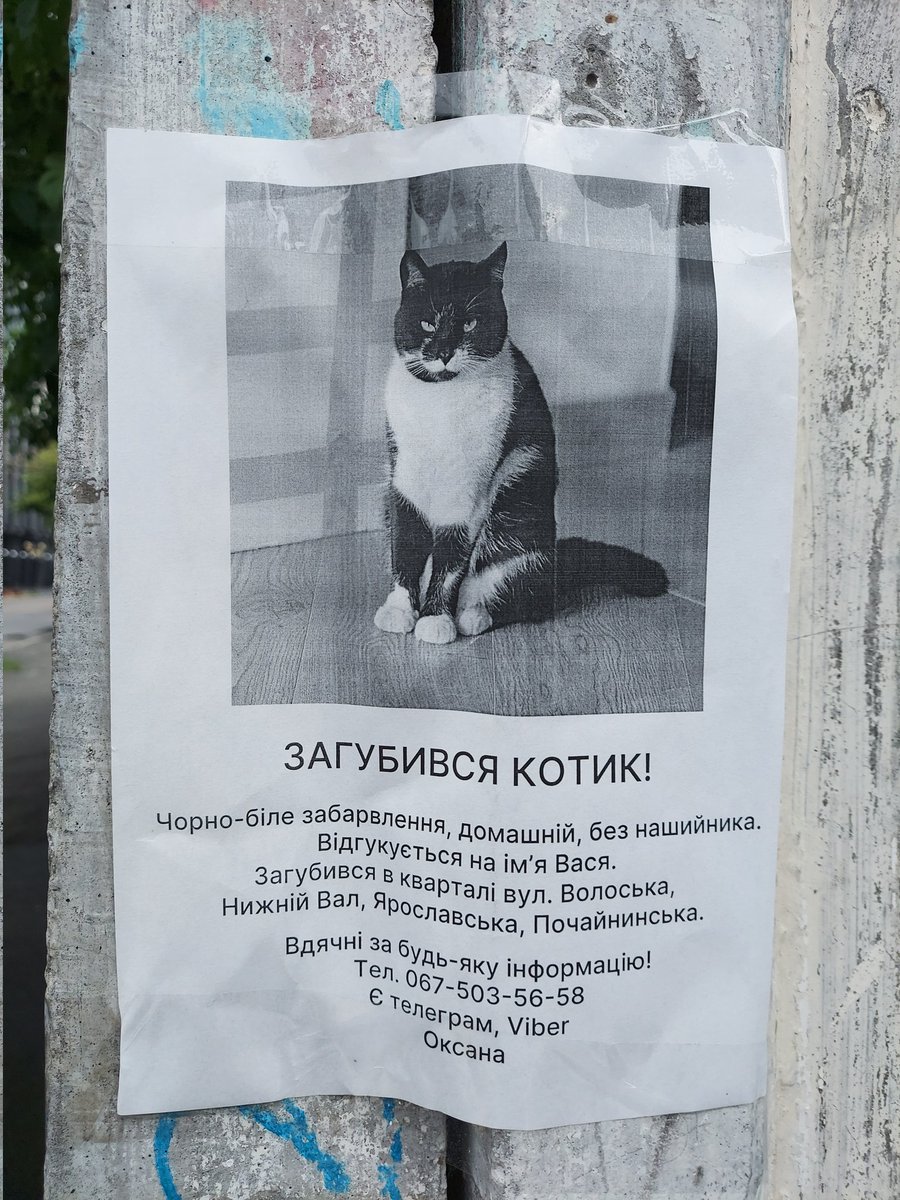 infrrrared's tweet photo. Київ, тут загубився котик https://t.co/5aF6BGPwYJ