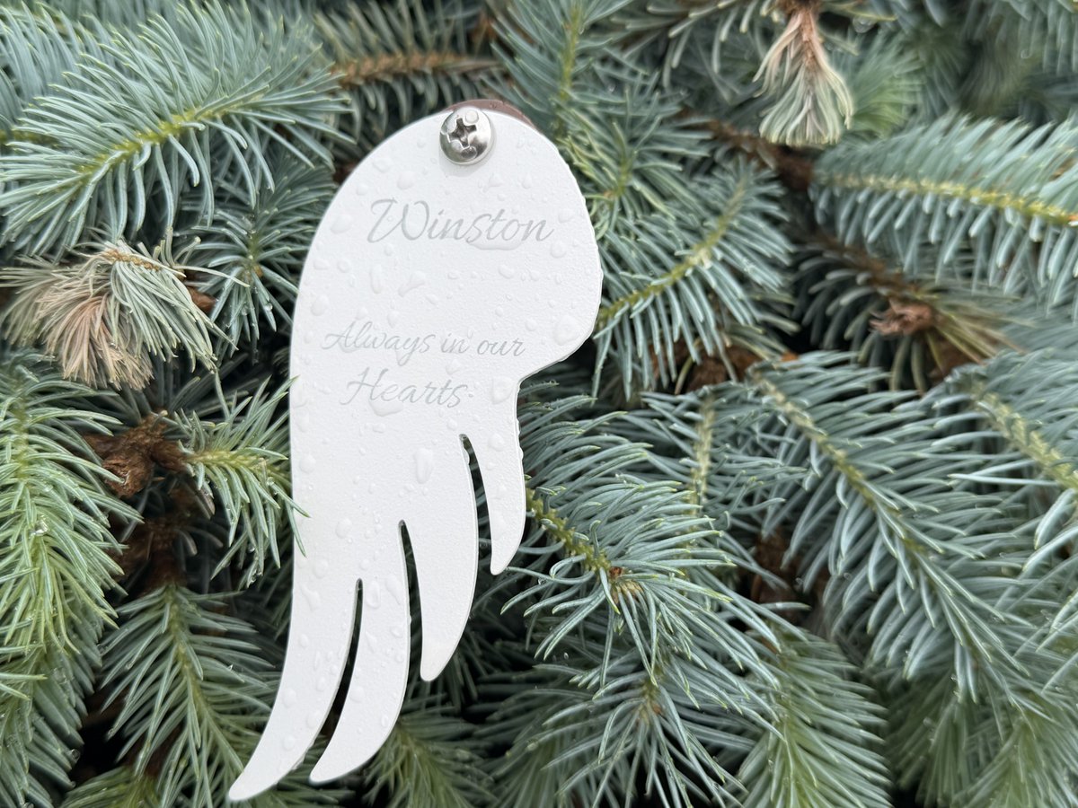 wane15's tweet photo. A business specializing in end-of-life pet services unveiled a memorial garden in honor of pets who have passed on. The garden is open to the public, and all are welcome to remember their beloved pets in peace with a real-life rainbow bridge.

>>>https://t.co/3vVYZDRRgu https://t.co/vysPVhTjgc