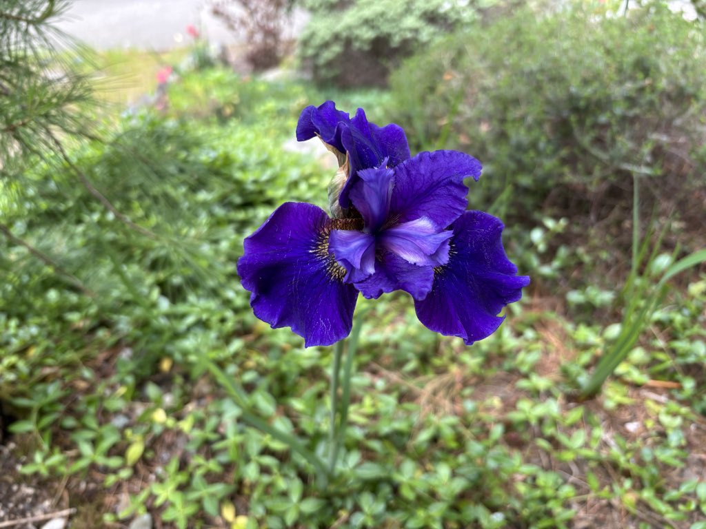 PDBean55's tweet photo. Good morning. https://t.co/wvFshwxVLG