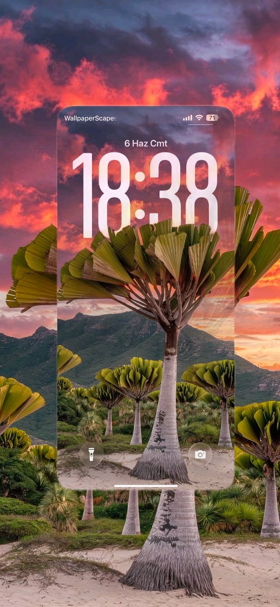 wallpaperscapes's tweet photo. 4K Wallpaper for iPhone    
#Wallpaper #art #iOS26Wallpaper #iPhoneWallpaper #nature #Minimalism https://t.co/SMIt94OPQi