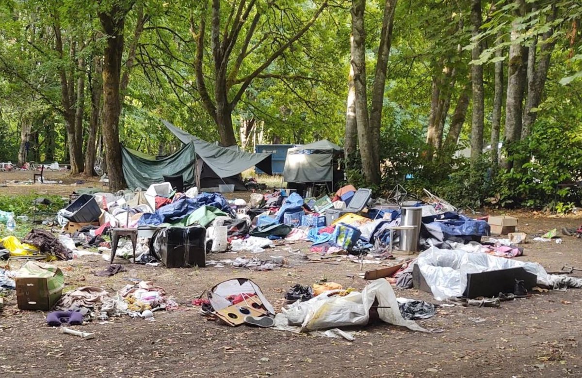 ammocanski's tweet photo. Thanks for taking the bait. Appreciate you laser-focusing on that one pixel while the rest of Oregon looks like a third-world landfill. Classic move. 
Here’s five more for ya. All local. Every one. We didn't vote our way into this mess just to pretend the pictures are from California. Clean it up or own it. 
Your call, Mr. Governor's fan club.