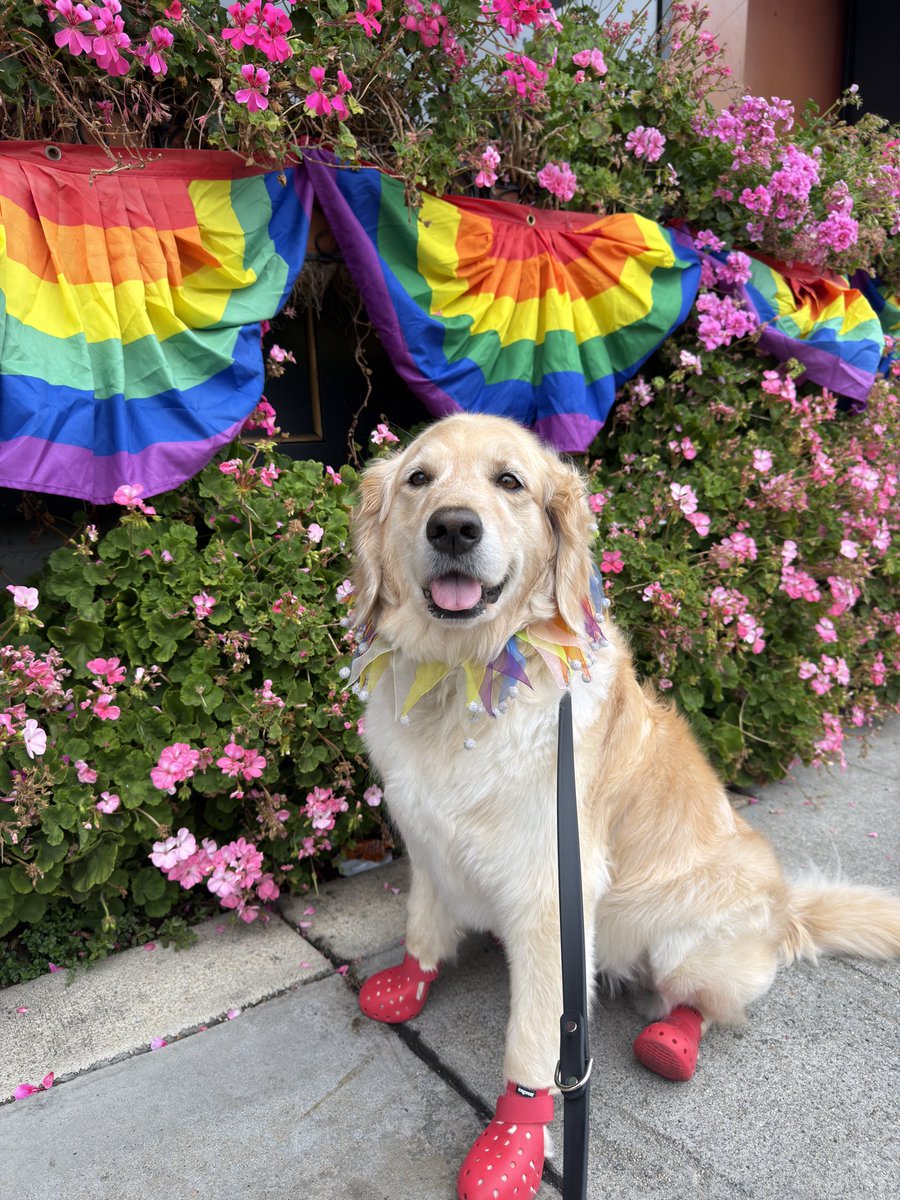 idiotpeach's tweet photo. Happy Pride from JUNO 🏳️‍🌈 https://t.co/cTjxTpKEfM