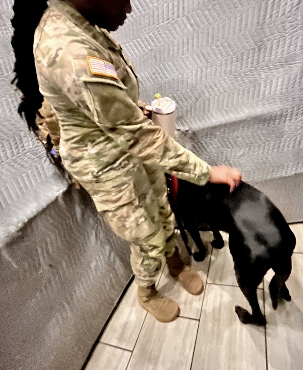 GoGoMichael9's tweet photo. 朝からあまったれマイケル💕🇺🇸🐕‍🦺 https://t.co/HCBmLCOlY3
