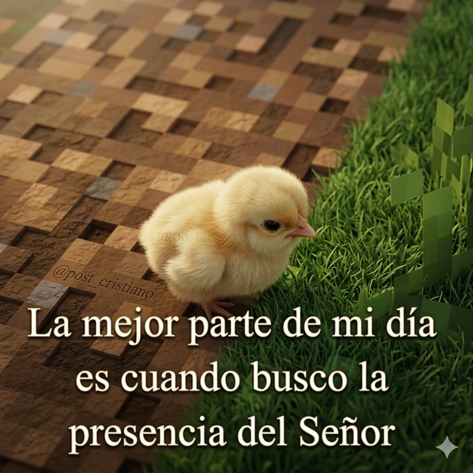 Coheredero tweet media