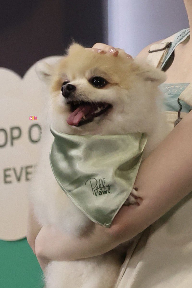 OrmKorn_FansTH ( พชรฐากูร ) tweet media