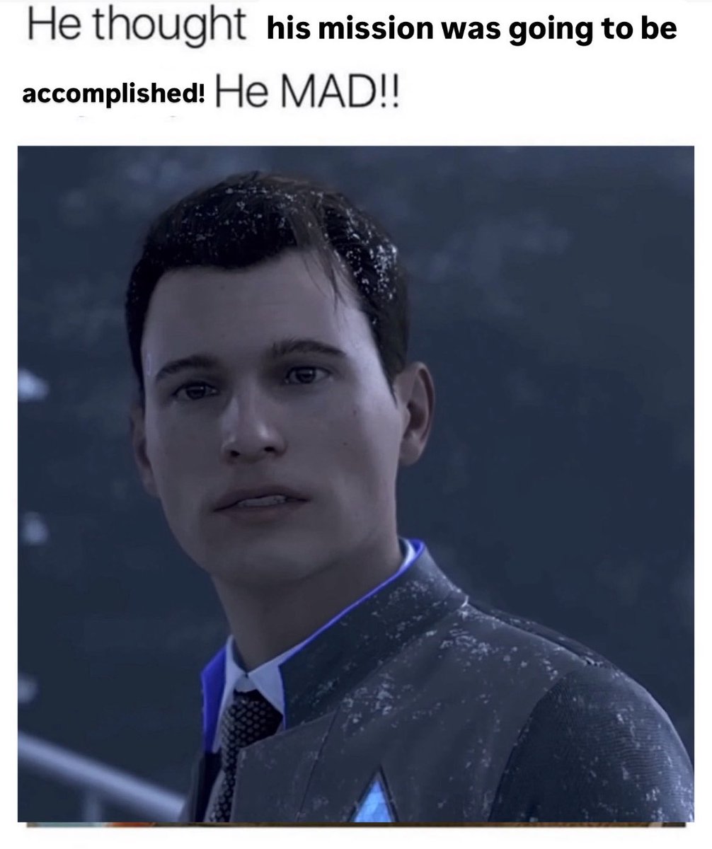 bucky tweet media