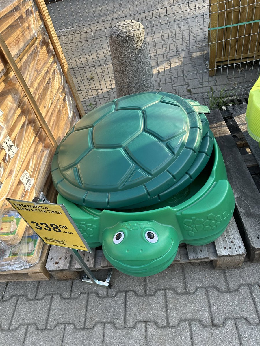 funky_insanity's tweet photo. THIS IS SANDPIT TURTLE https://t.co/pZslK6wlbJ
