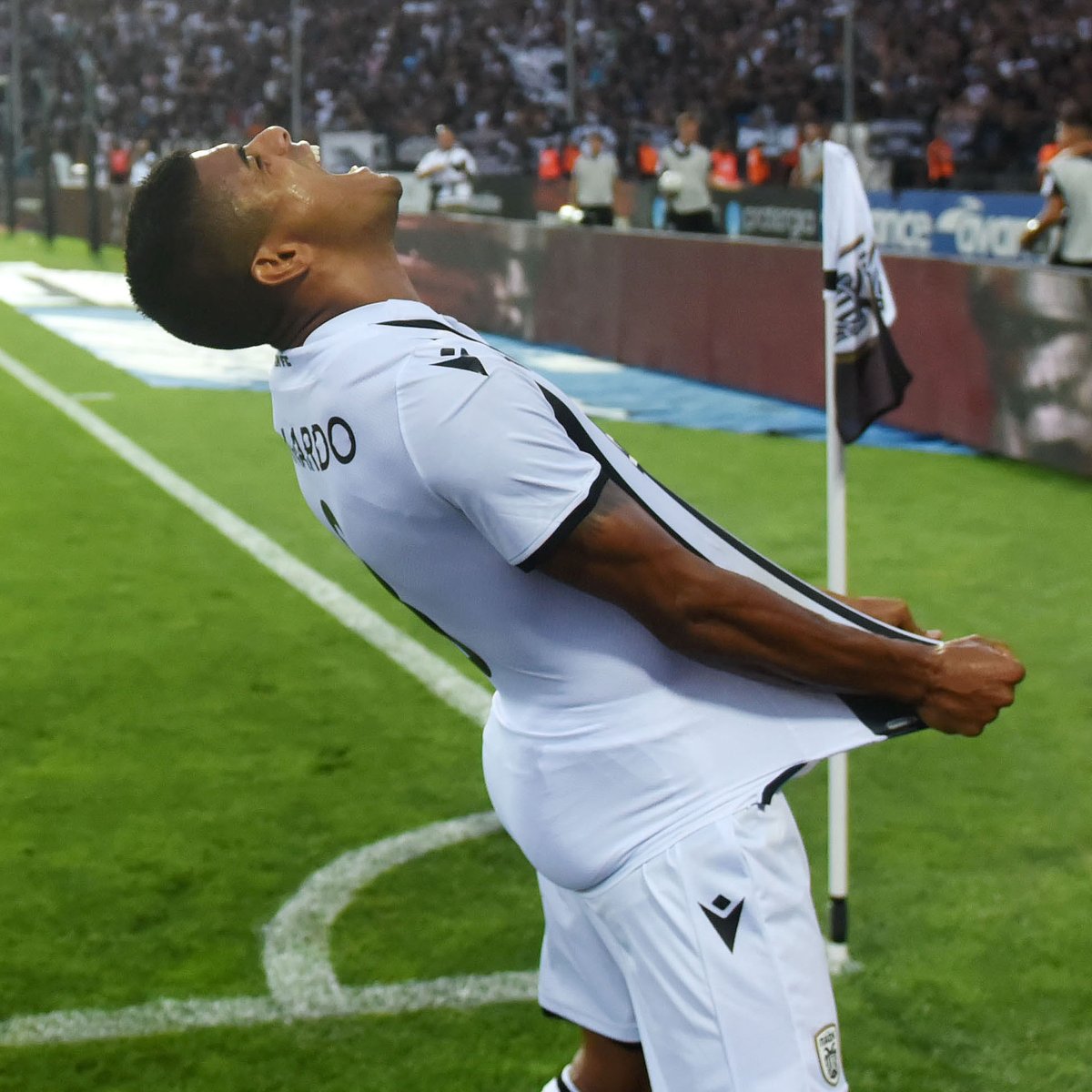 FotisKin's tweet photo. Magnificent bastard!

#ΠΑΟΚ #PAOK #PAOKFC https://t.co/hMvRl3rCnO