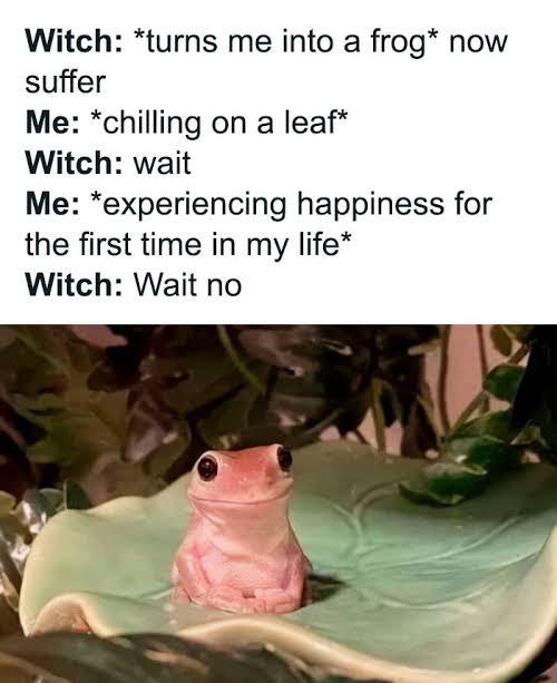 WholesomeMeme's tweet photo. https://t.co/wmJqxFs7DN
