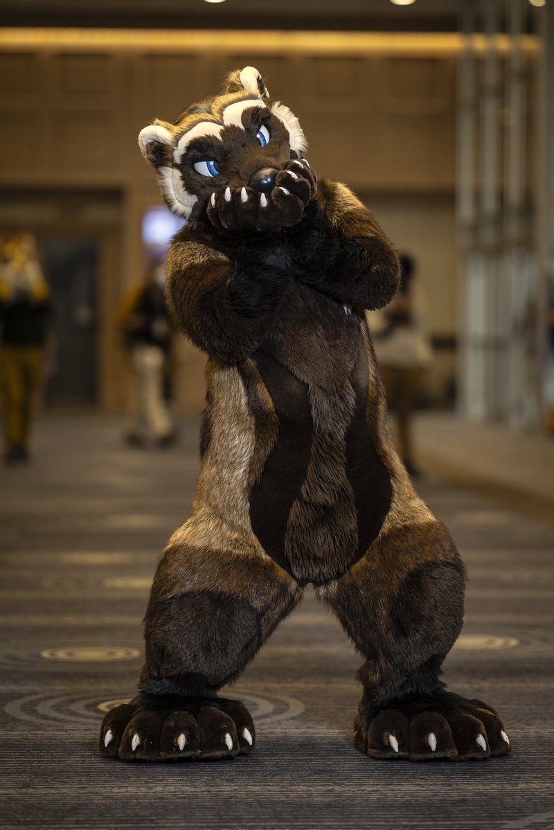 JaggerWolverine's tweet photo. @russkcat Im like a bigger you! https://t.co/CcED4Uj7Jo