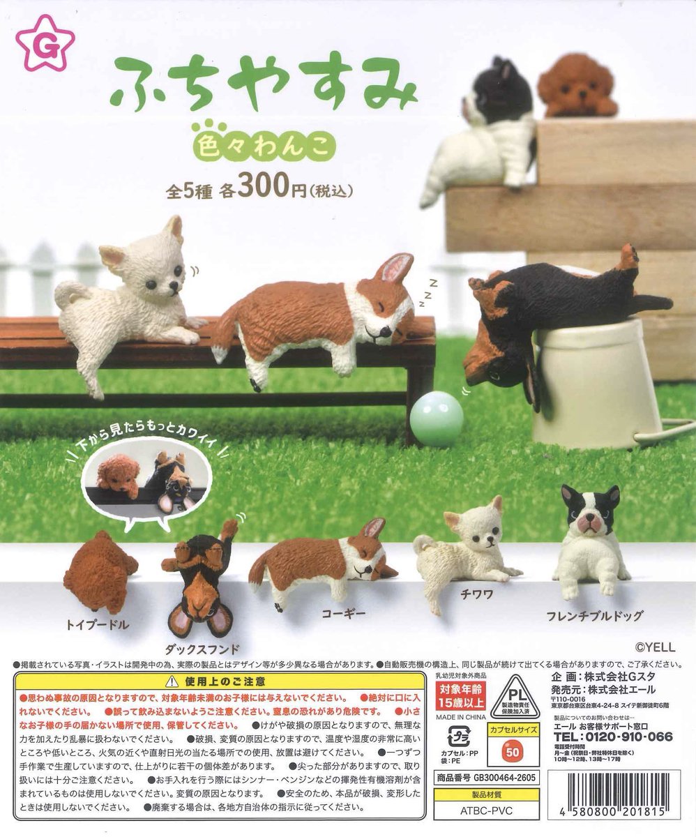 tomajaga_09's tweet photo. 【 ふいやすみ 色々わんこ ガチャ 交換】

譲　コーギー
求　フレンチブルドッグ
郵送のみ📮

お気軽にお声掛けよろしくお願いいたします(  . .)" https://t.co/fI5jpzHvmx