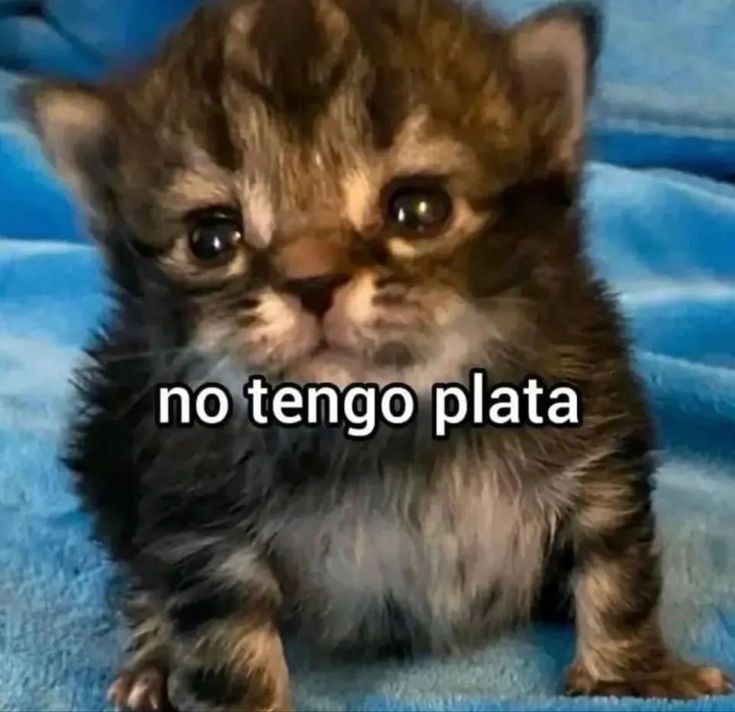 𝐒evenRagez tweet media