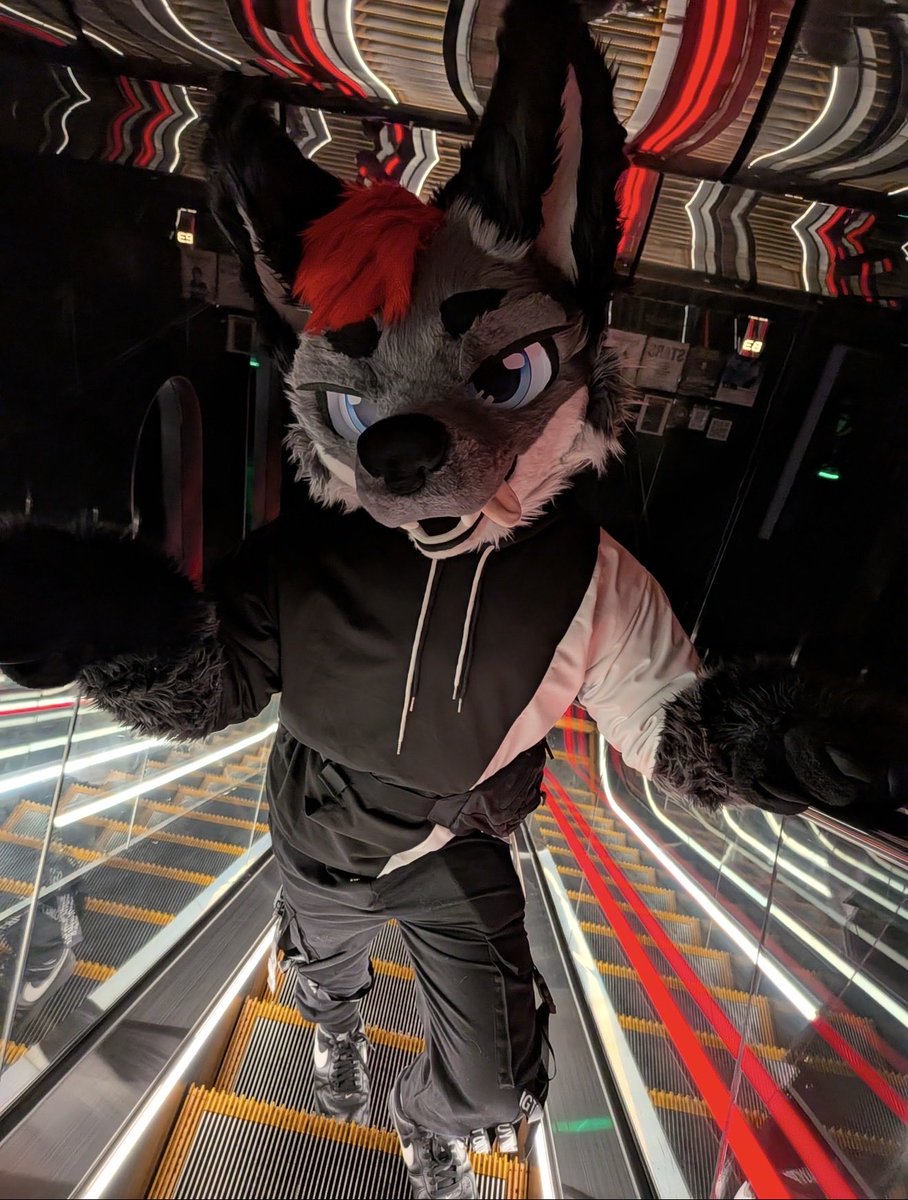 The Boi ザ・ボーイ(狼) tweet media