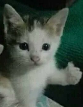 Rande_X's tweet photo. @76Electrogamer No parecen entender https://t.co/7iMrjtRrJA