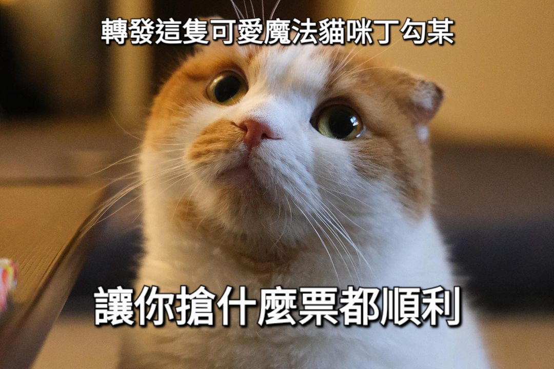 mmmAD20619's tweet photo. 可愛魔法貓咪丁勾某我又來了
希望搶媽木的票可以順利🙏 https://t.co/UMJULFNIG1