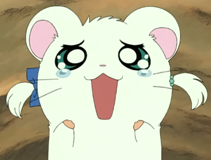 Nise_Hamtaro's tweet photo. https://t.co/bwjdLXE5pl
